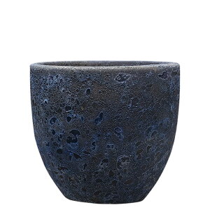 y؂ւ̎tz {J[m Eh Fu[ 33cm 9.5 ֖򓩊 ۔ Aؔ |bg