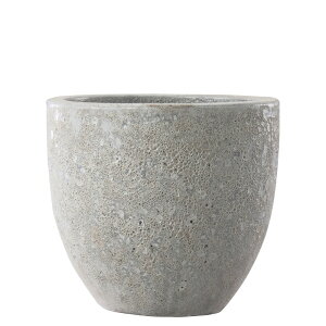 y؂ւ̎tz {J[m Eh MzCg 33cm 9.5 ֖򓩊 ۔ Aؔ |bg