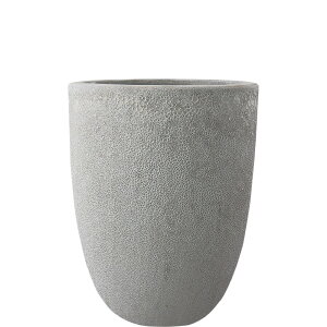 y؂ւ̎tz {J[m g[Eh MzCg 33cm 9.5 ֖򓩊 ۔ Aؔ |bg