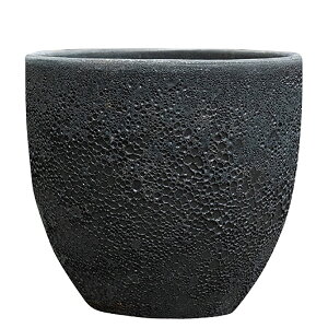 y؂ւ̎tz {J[mEh FubN 39cm 10.5 ֖򓩊 ۔ Aؔ |bg