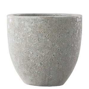 y؂ւ̎tz {J[m Eh MzCg 39cm 10.5 ֖򓩊 ۔ Aؔ |bg