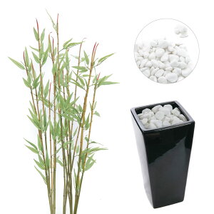 tFCNO[ | lH ϗtA ^  G} A CTG} L A CeA  a a_ ؒ ̊  [   ʐ ʍ [nnf][rcp] / WplXNV[