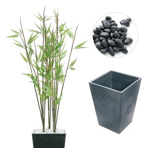 _10%OFFN[|^ tFCNO[ | lH ϗtA ^  G} A CTG} L A CeA  a a_ ؒ ̊  [   ʐ ʍ [nnf][rcp] 