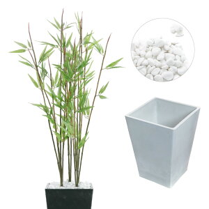 tFCNO[ | lH ϗtA ^  G} A CTG} L A CeA  a a_ ؒ ̊  [   ʐ ʍ [nnf][rcp] / WplXNV[