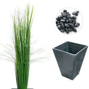 tFCNO[ lH ϗtA ^  G} A CTG} L CeA  a a_ ؒ ̊  JbNX XQ Cl J[[t ʐ ʍ / WplXNV