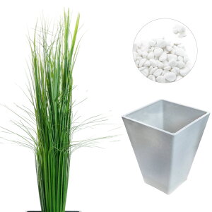 tFCNO[ lH ϗtA ^  G} A CTG} L A CeA  a a_ ؒ ̊  JbNX JcOT XQ Cl J[[t ʐ ʍ