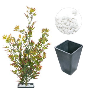 _10%OFFN[|^ `11/27 1:59 tFCNO[ ݂  lH ϗtA ^  G} A CTG} L A CeA  a a_ ؒ ̊  gt [fd][rcp]