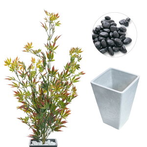 tFCNO[ ݂  lH ϗtA ^  G} A CTG} L A CeA  a a_ ؒ ̊  gt [fd][rcp] / WplXNV[Y Cn