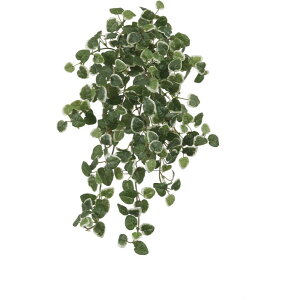 lHϗtA v~ 45cm ubV A tFCNO[ ϗtA  G} CTG} CeA yMt_