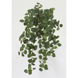 tFCNO[ v~ 45cm ubV A ϗtA  lHϗtA G} CTG} CeA yMt_