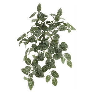 lHϗtA tBgjA 50cm tBbgjA ubV ϗtA  tFCNO[ G} CTG} CeA yMt_