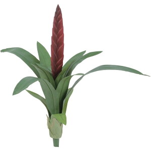 lHϗtA t[~OX[h 58cm ubV tFCNO[ ϗtA  G} CTG} CeA