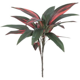 楽天市場 赤 ドラセナの通販