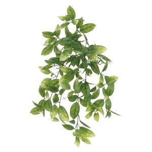 ϗtA  OΉ _OW[ 60cm ubV lHϗtA tFCNO[ G} CTG} CeA yMt_