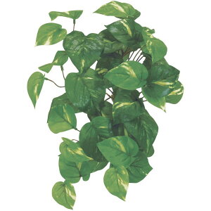 lHϗtA A^b` |gX 32cm ubV ϗtA  tFCNO[ G} CTG} CeA yMt_