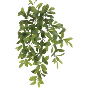 tFCNO[ A^b` [ 70cm ubV lHϗtA ϗtA  G} CTG} CeA yMt_