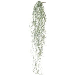 �t�F�C�N�O���[�� ���O�Ή� �X�p�j�b�V�����X�n���M���O W/G 80cm �o�C�� �� �� �� �� �݂邷 �ϗt�A�� ���� �l�H�ϗt�A�� ���G�} CT�G�} �C���e���A