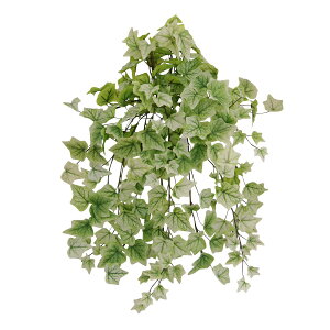 lHϗtA tFCNO[ ϗtA  A^b` ACr[ ubV 60cm CeA  tFCN O[ CTG} L