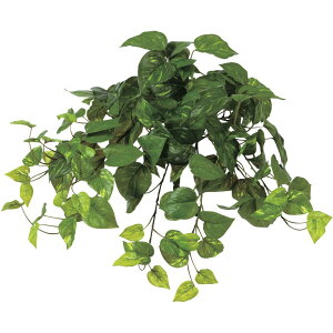 tFCNO[ lH ϗtA  A^b` |gX() 30cm ubV tFCN O[ G} CTG} CeA 