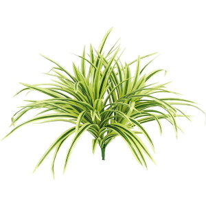 lHϗtA u(CG[) 37cm ubV ϗtA  tFCNO[ G} CTG} CeA yMt_