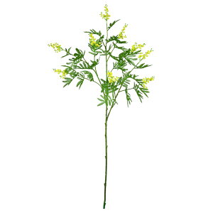 lHϗtA tFCNO[ ϗtA  FIAN ~UXv[ 120cm CeA  tFCN O[ CTG} L