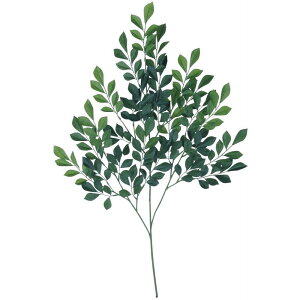 lHϗtA glR 72cm XvC } tFCNO[ ϗtA  G} CTG} CeA