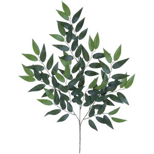 lHϗtA tXtBJX 70cm XvC } tFCNO[ ϗtA  G} CTG} CeA