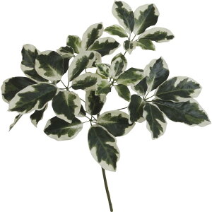 tFCNO[ VFt(tC) 60cm J|bN XvC } ϗtA  lHϗtA G} CTG} CeA