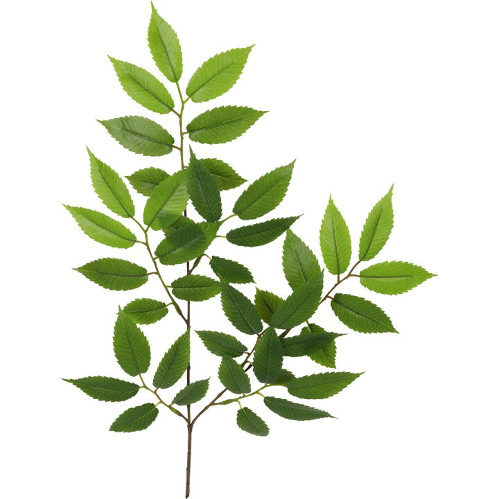 楽天市場】フェイクグリーン 人工 観葉植物 造花 ケヤキ 55cm スプレイ 