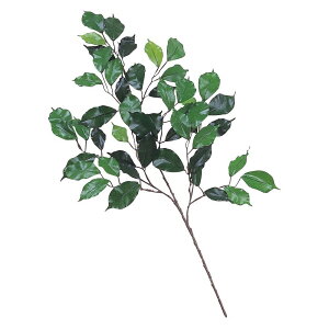 ϗtA  xW~}`tBJX 68cm XvC } tFCNO[ lHϗtA G} CTG} CeA