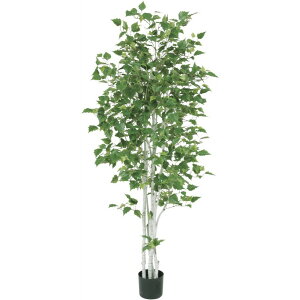 lHϗtA ^ VJo 180cm   ϗtA  tFCNO[ G} CTG} CeA