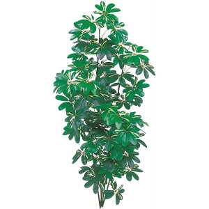 VFt(tC) 180cm J|bN tFCNO[ ^   lHϗtA G} CTG} CeA