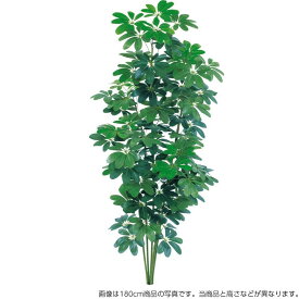 人工観葉植物 シェフレラ 150cm カポック 樹木 フェイクグリーン 大型 観葉植物 造花 光触媒 CT触媒 インテリア