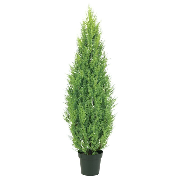 楽天市場】観葉植物 造花 屋外対応 ゴールドクレスト 150cm 樹木 人工 