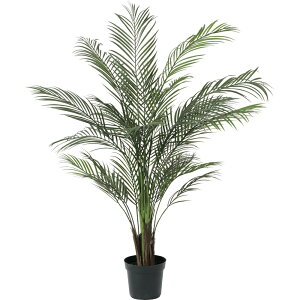 AJp[ 140cm tFCNO[ lHϗtA  G} CTG} L R CeA  Ԍt C 