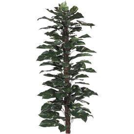 観葉植物 造花 大型 ポトスヘゴ 170cm 樹木 人工観葉植物 フェイクグリーン 光触媒 CT触媒 インテリア