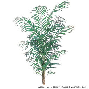 _10%OFFN[|^ fbNXAJp[ 120cm AJV   lHϗtA ^ tFCNO[ G} CTG} CeA