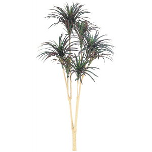 lHϗtA bJ(O[bh) 150cm  ϗtA  tFCNO[ ^ G} CTG} CeA