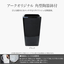 フェイクグリーンアナナストロピカルプランツ鉢植ディフェンバキア+グズマニア寄植【人工観葉植物造花光触媒SC/CT触媒フェイクグリーン】