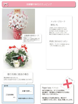 【RCP】【NEWラッピング】胡蝶蘭ラベンダーホワイト3本立ち【送料無料】【アーティフィシャルフラワー造花】(光触媒より優れたCT触媒/SC触媒/インテリア/お祝い)【楽ギフ_包装】【楽ギフ_のし】【楽ギフ_のし宛書】【楽ギフ_メッセ】【楽ギフ_メッセ入力】