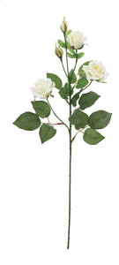  ԍ A[eBtBVt[ [Y*5 zCg Be   Bep