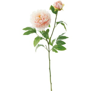  ԍ A[eBtBVt[ bW[sIj[ Be   Bep