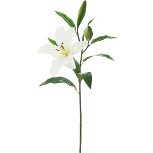  ԍ A[eBtBVt[ xKJTuJ Be   Bep