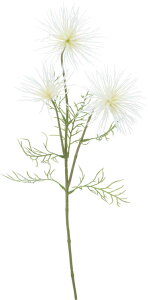  ԍ A[eBtBVt[ AllV[h zCg Be   Bep