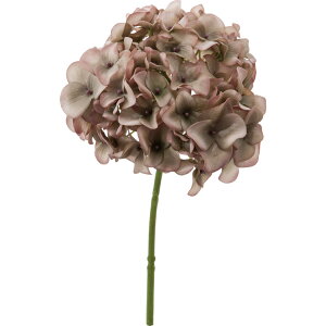  ԍ A[eBtBVt[ AfBnChWA Be   Bep