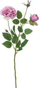  ԍ A[eBtBVt[ I[h[YXv[ x_[ Be   Bep