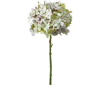  ԍ A[eBtBVt[ hCAWTC Be   Bep