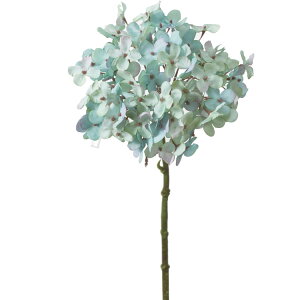  ԍ A[eBtBVt[ hCAWTC Be   Bep