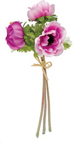  ԍ A[eBtBVt[ Alloh x_[ Be   Bep