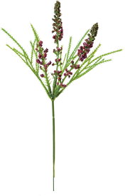 楽天市場 ベロニカ 花の通販